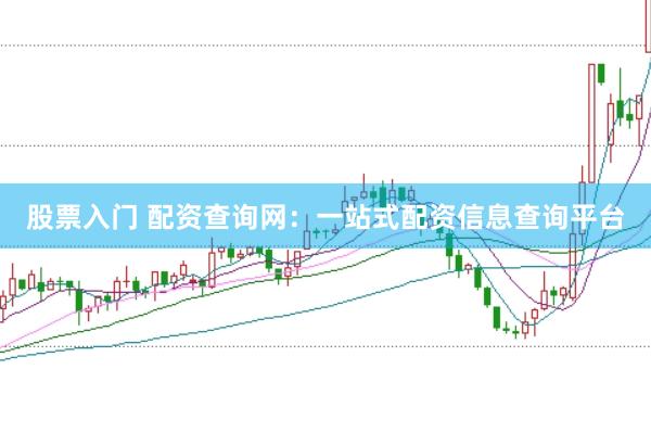 股票入门 配资查询网：一站式配资信息查询平台