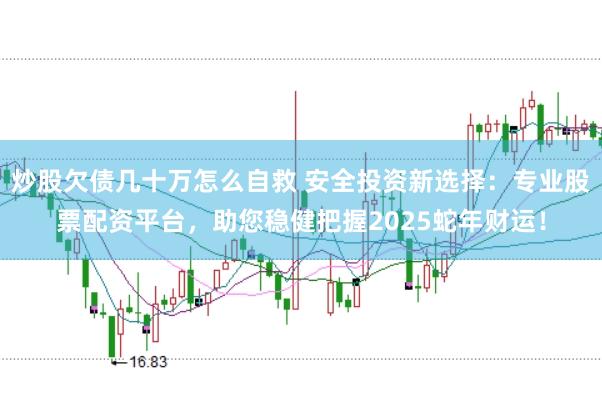 炒股欠债几十万怎么自救 安全投资新选择：专业股票配资平台，助您稳健把握2025蛇年财运！