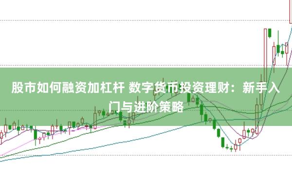 股市如何融资加杠杆 数字货币投资理财：新手入门与进阶策略