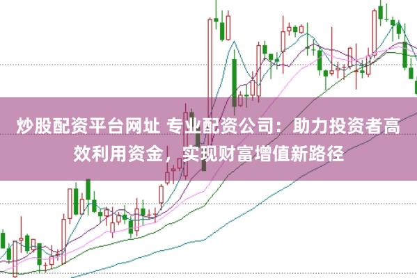 炒股配资平台网址 专业配资公司：助力投资者高效利用资金，实现财富增值新路径