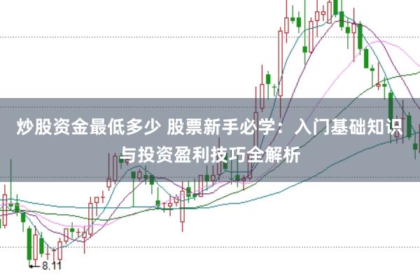 炒股资金最低多少 股票新手必学：入门基础知识与投资盈利技巧全解析
