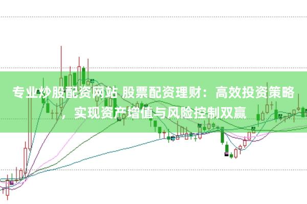 专业炒股配资网站 股票配资理财：高效投资策略，实现资产增值与风险控制双赢