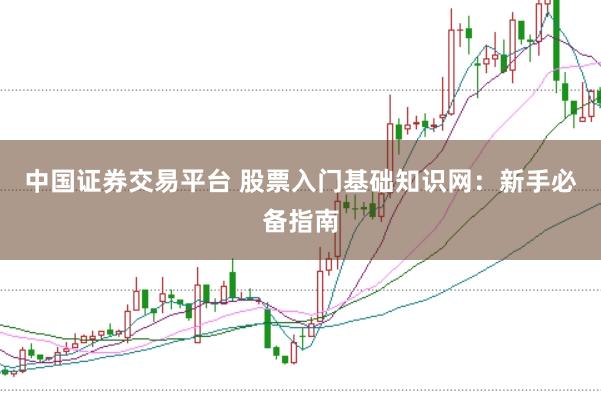 中国证券交易平台 股票入门基础知识网：新手必备指南