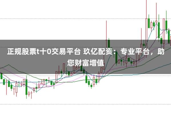 正规股票t十0交易平台 玖亿配资：专业平台，助您财富增值