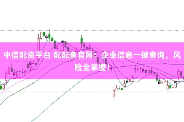 中信配资平台 配配查官网：企业信息一键查询，风险全掌握！